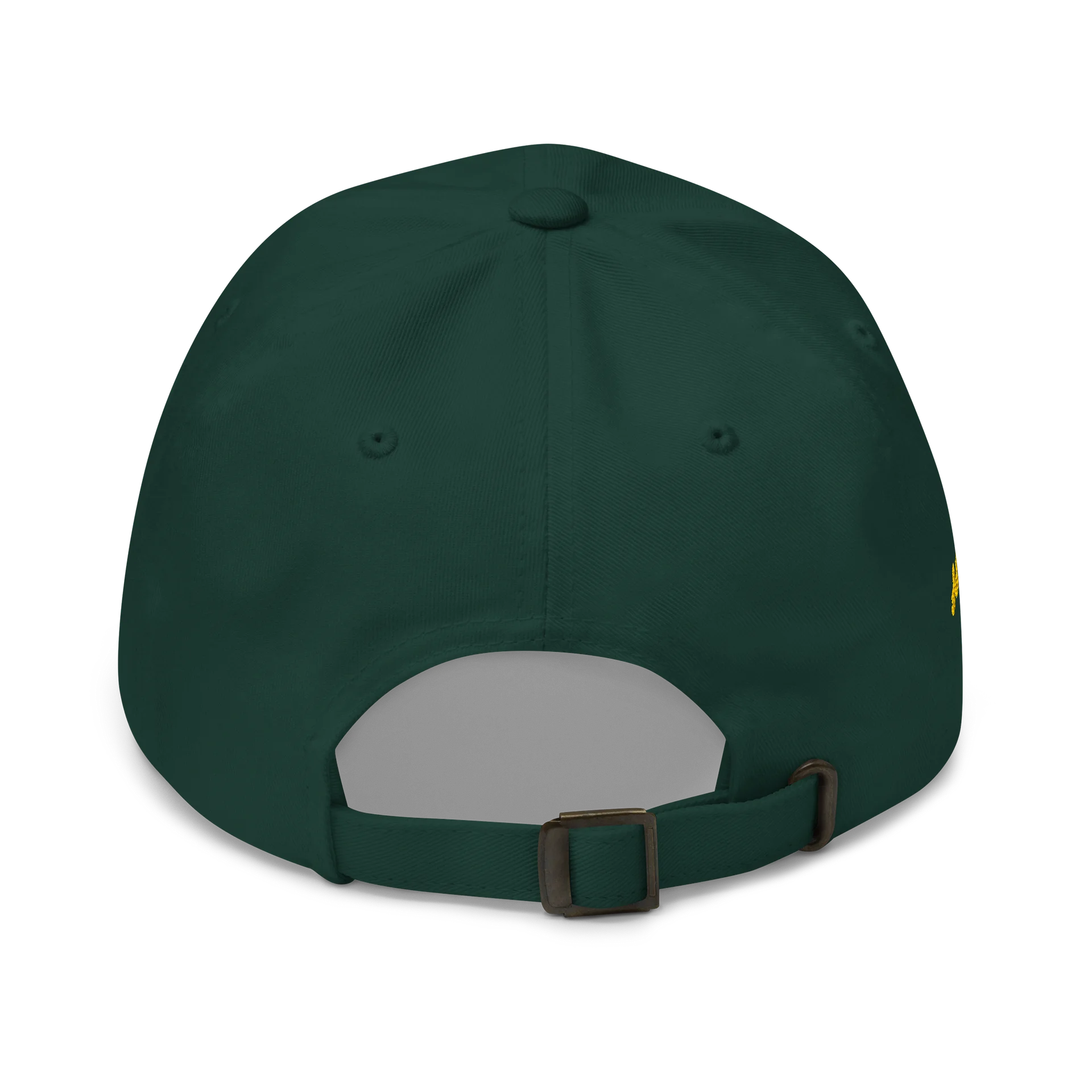 Authenticity H Logo hat product image (4)