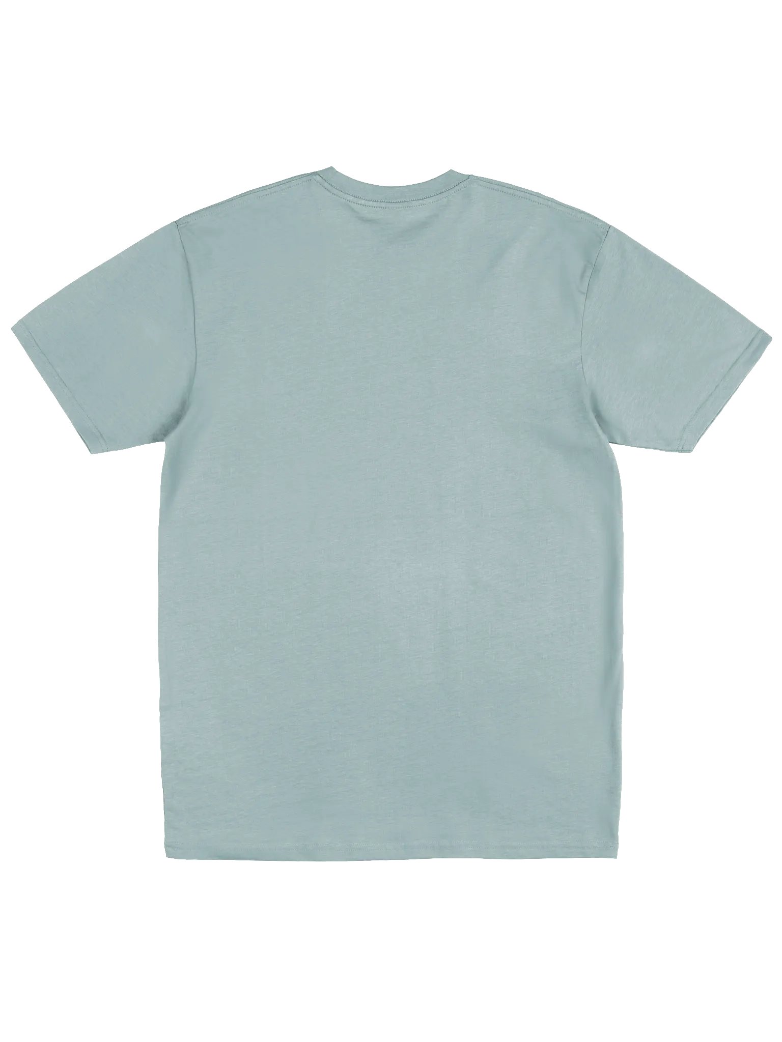 Coach's Panel Logo Men's Premium Tee product image (19)