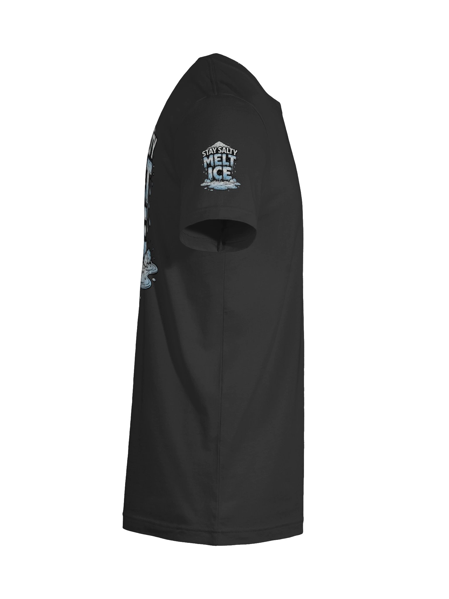 Stay Salty Melt ICE Tee | Bella+Canvas product image (101)