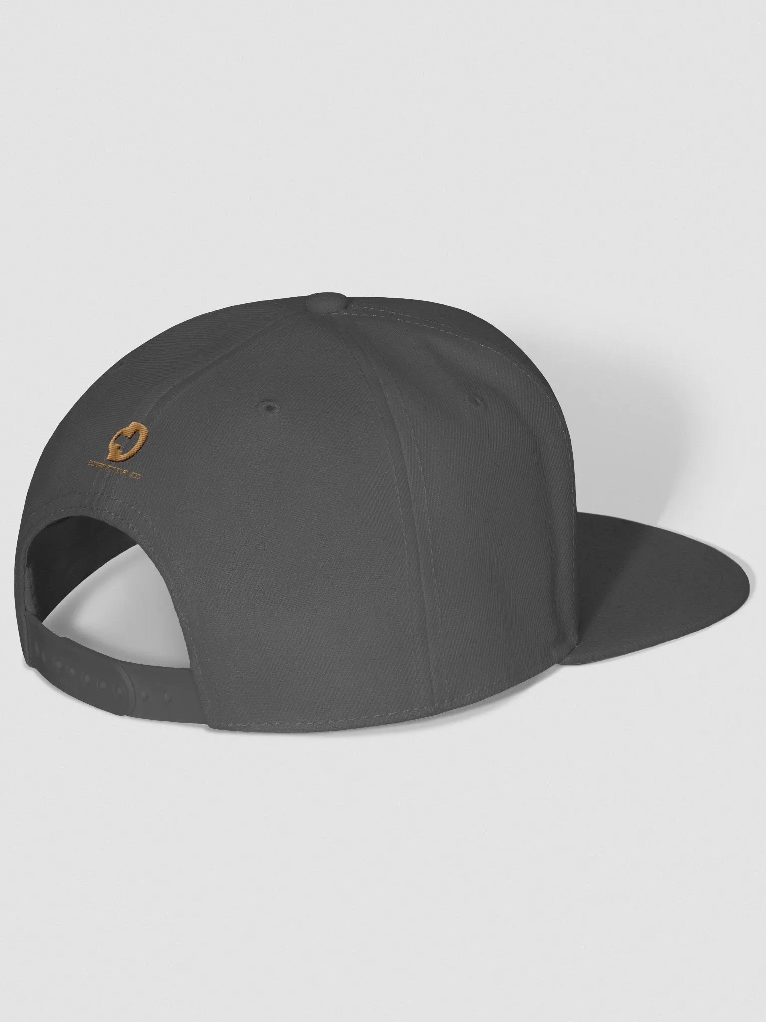 DISRUPTIVE REPEAT CAP product image (11)