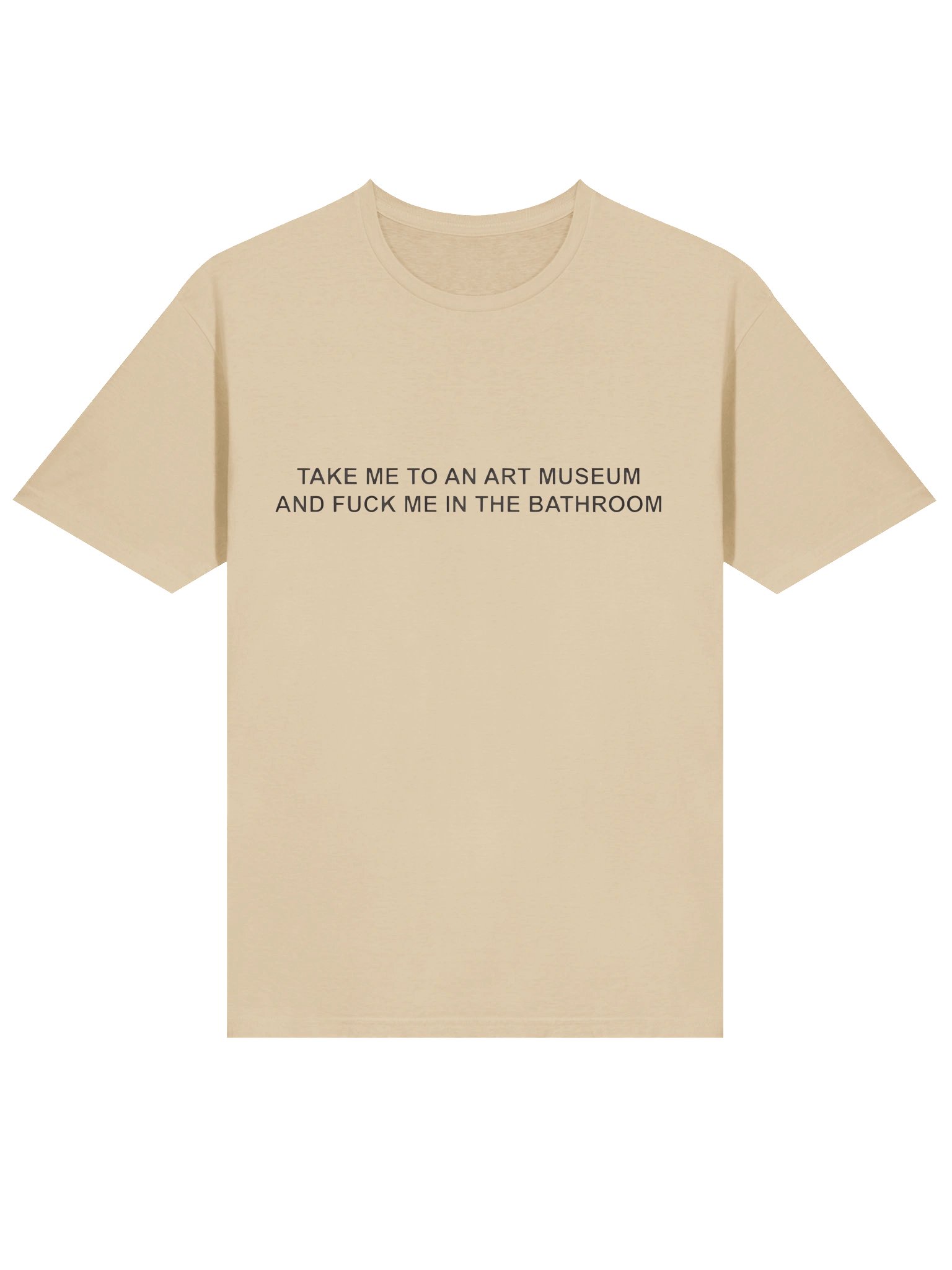 Take Me To An Art Museum And Fuck Me In The Bathroom Shirt product image (2)