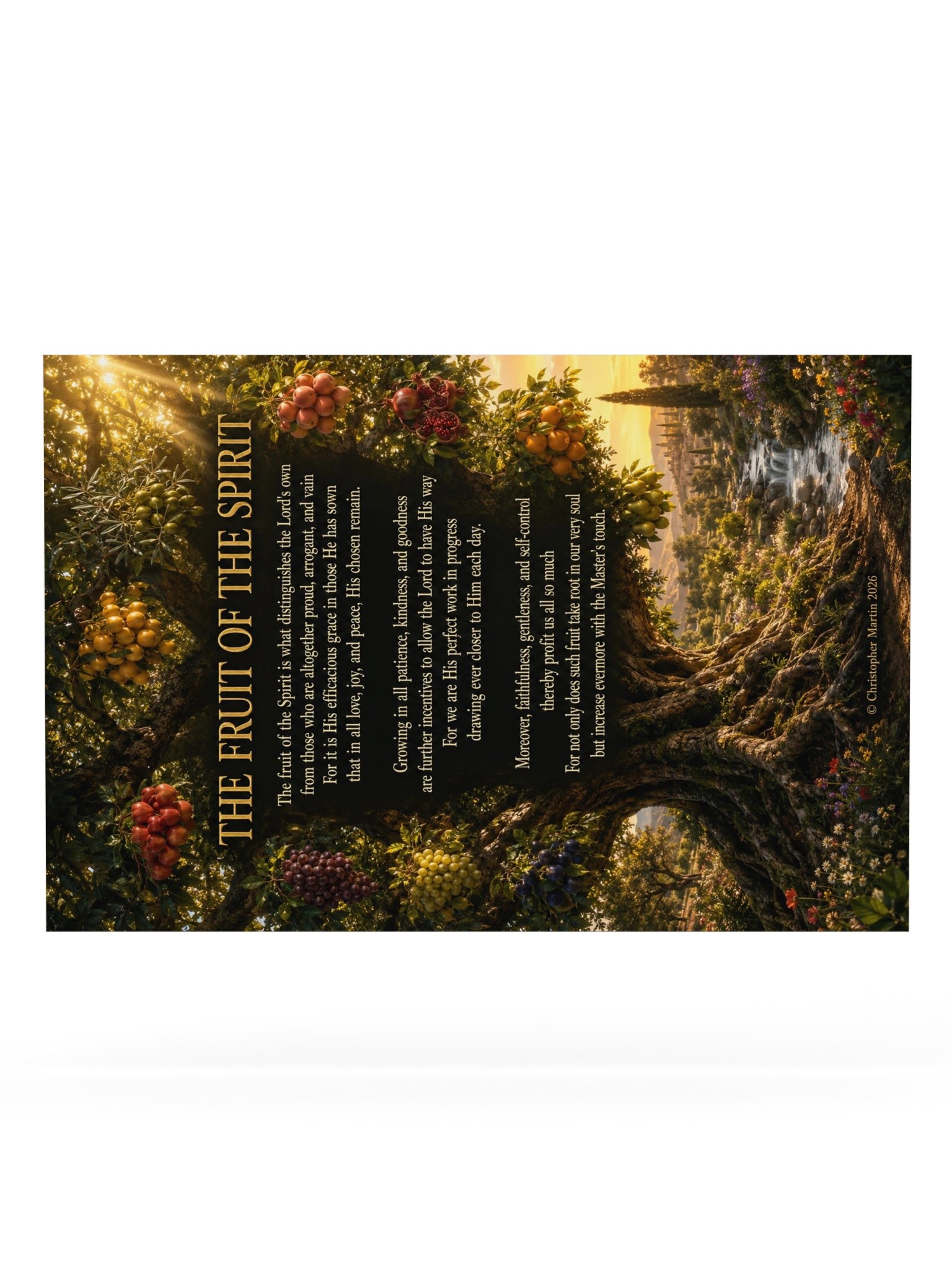 Fruits of the Spirit product image (6)