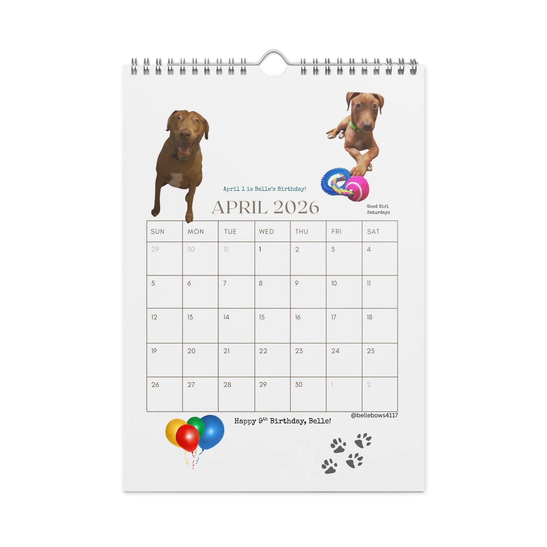 Belle the Dog 2026 Calendar A (Printed) product image (1)
