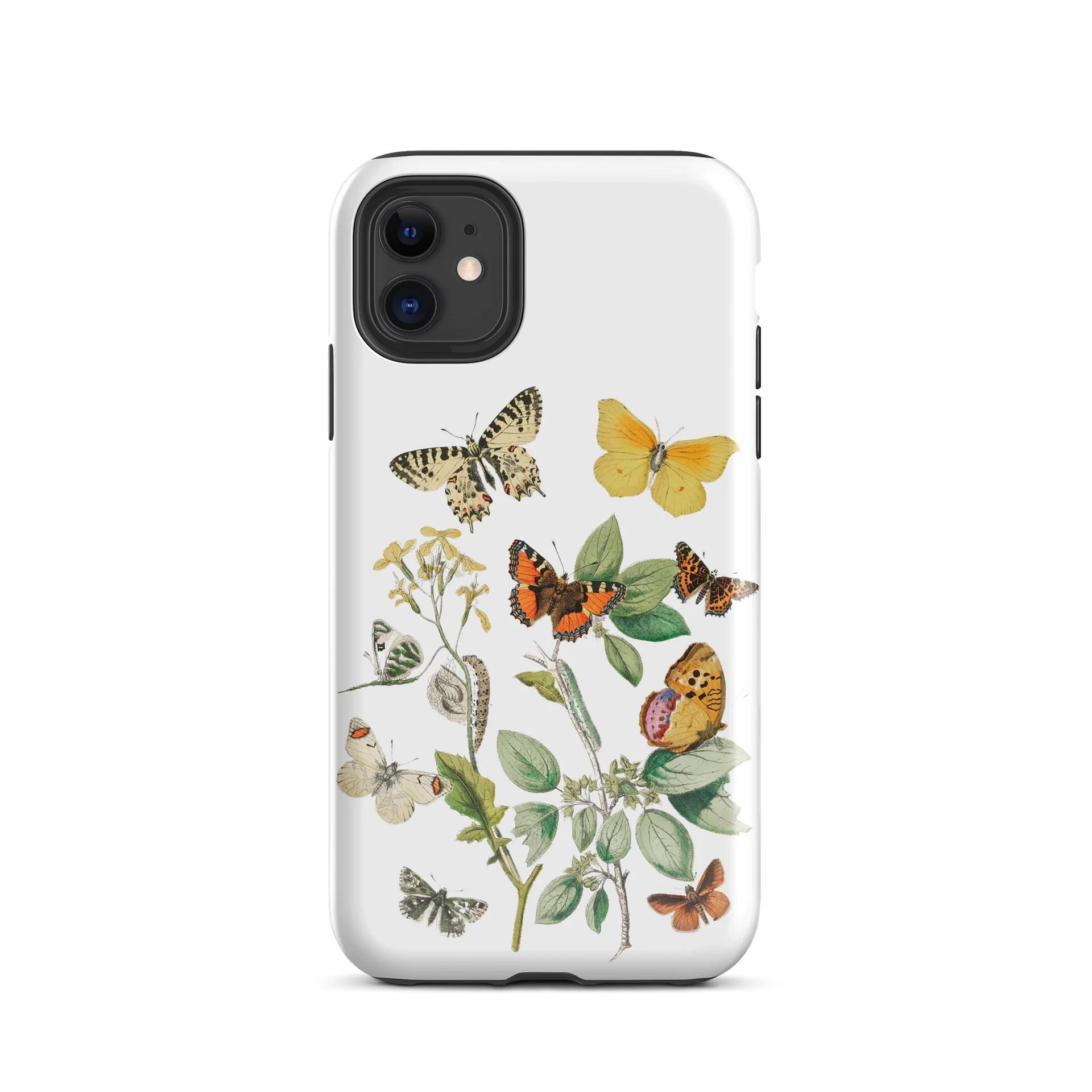 European Butterflies iPhone® Tough Case product image (55)
