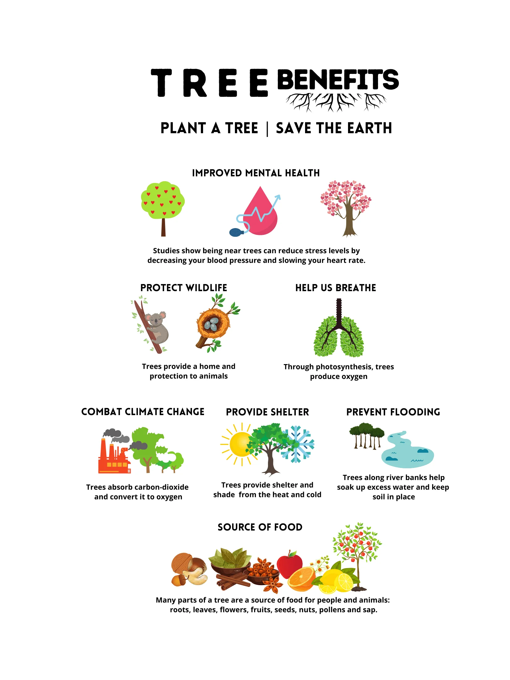 Trees. Earth's Lungs. PPTx. Discussion. product image (10)