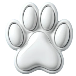 Kitty Hub