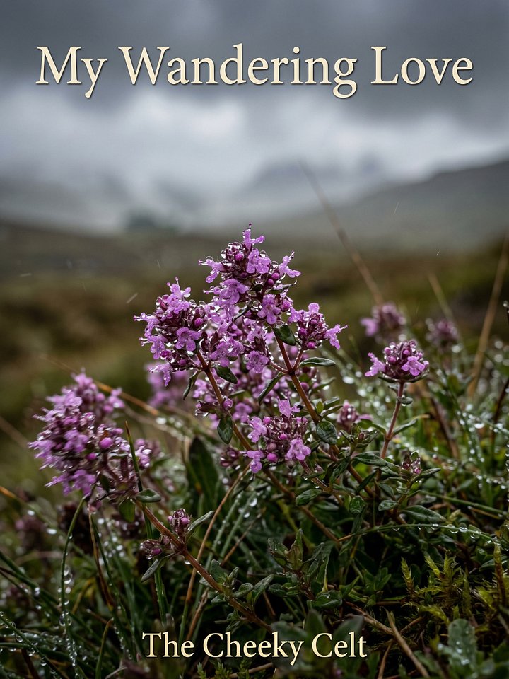 My Wandering Love product image (1)