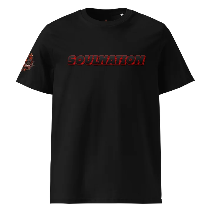 Soul Nation product image (1)