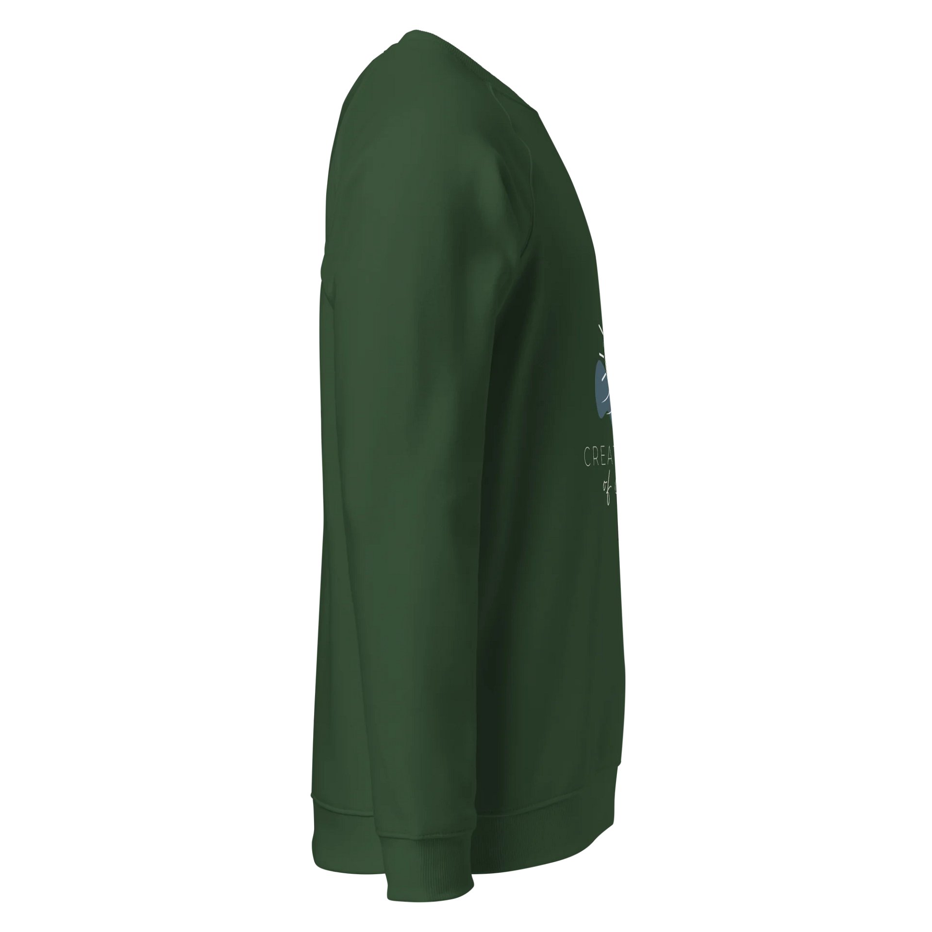 Women's Organic Raglan Sweatshirt ORFB0111 product image (3)