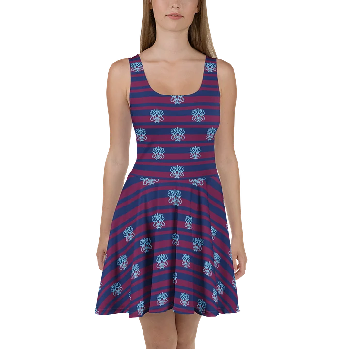 Navy Flirty Academic Skater Dress product image (1)