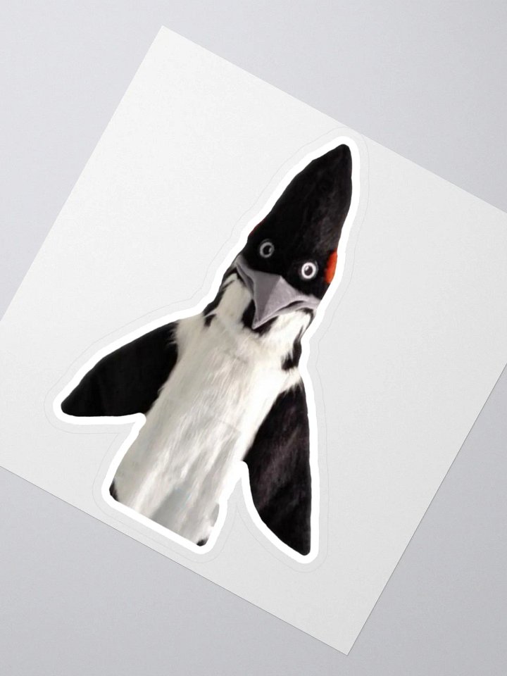 BIRD Sticker product image (1)