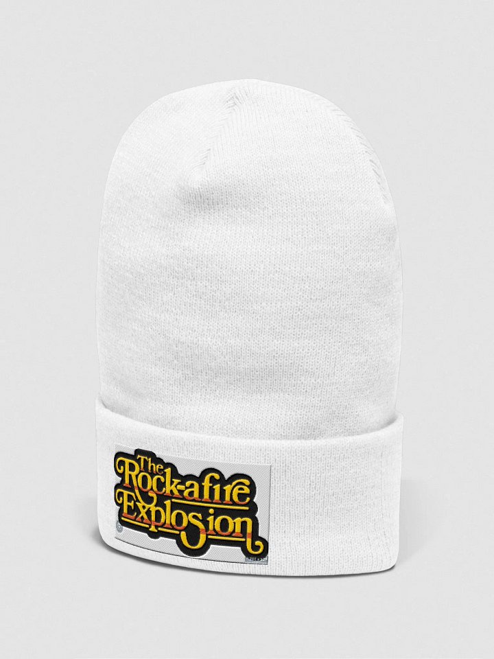 RAF beanie product image (2)