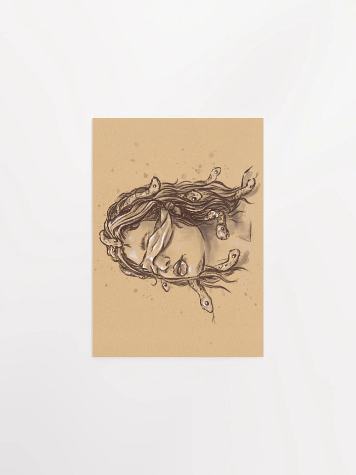 Gorgon product image (2)