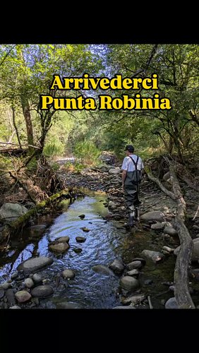 Costretto ad abbandonare la mia punta di ricerca per motivi di stagione. 
#oro #nature #esperienzeuniche #avventura #cercator...