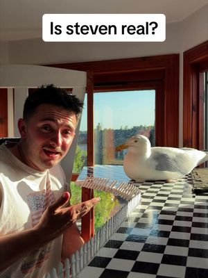 Watch till the end.. we got 2 babies now!!! #fyp #foryou #seagull #birds #feedingsteven