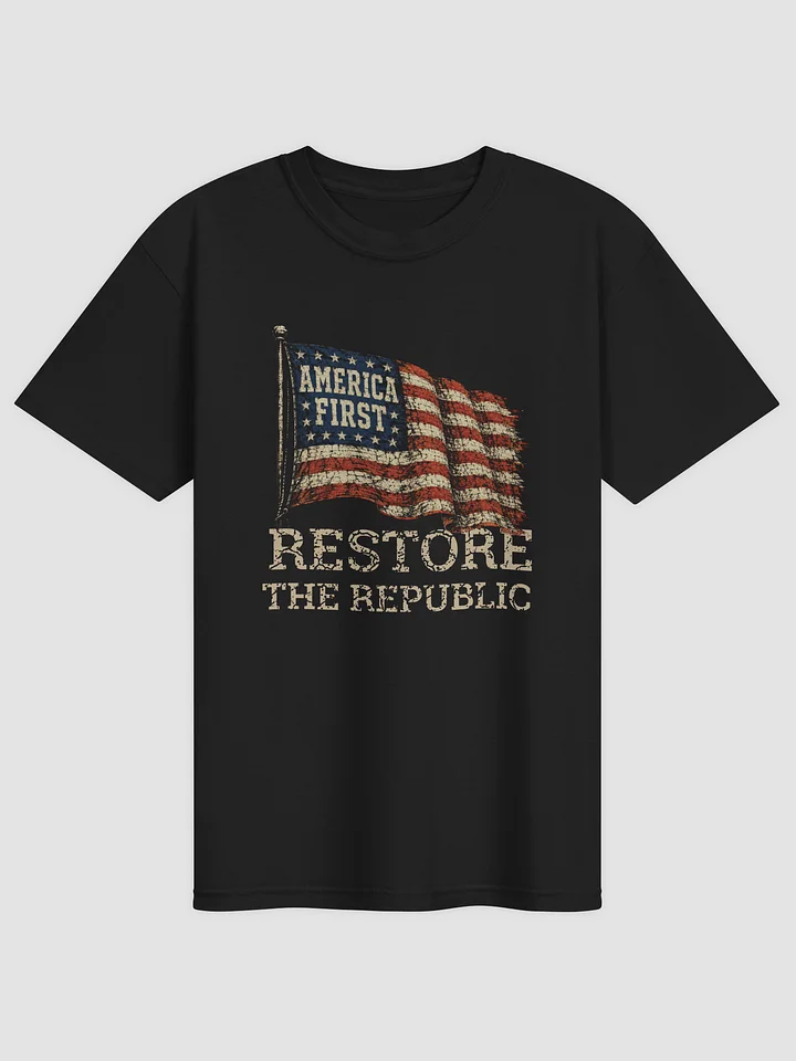 Restore The Republic product image (1)
