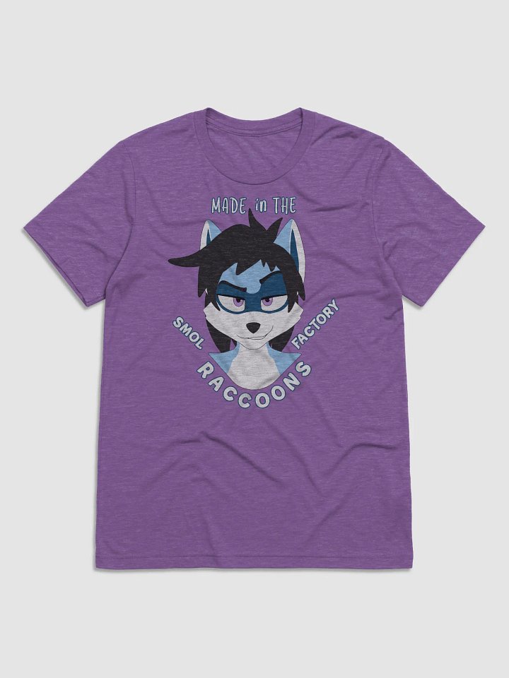 Ryder | Triblend T-shirt | Quote #1 product image (2)