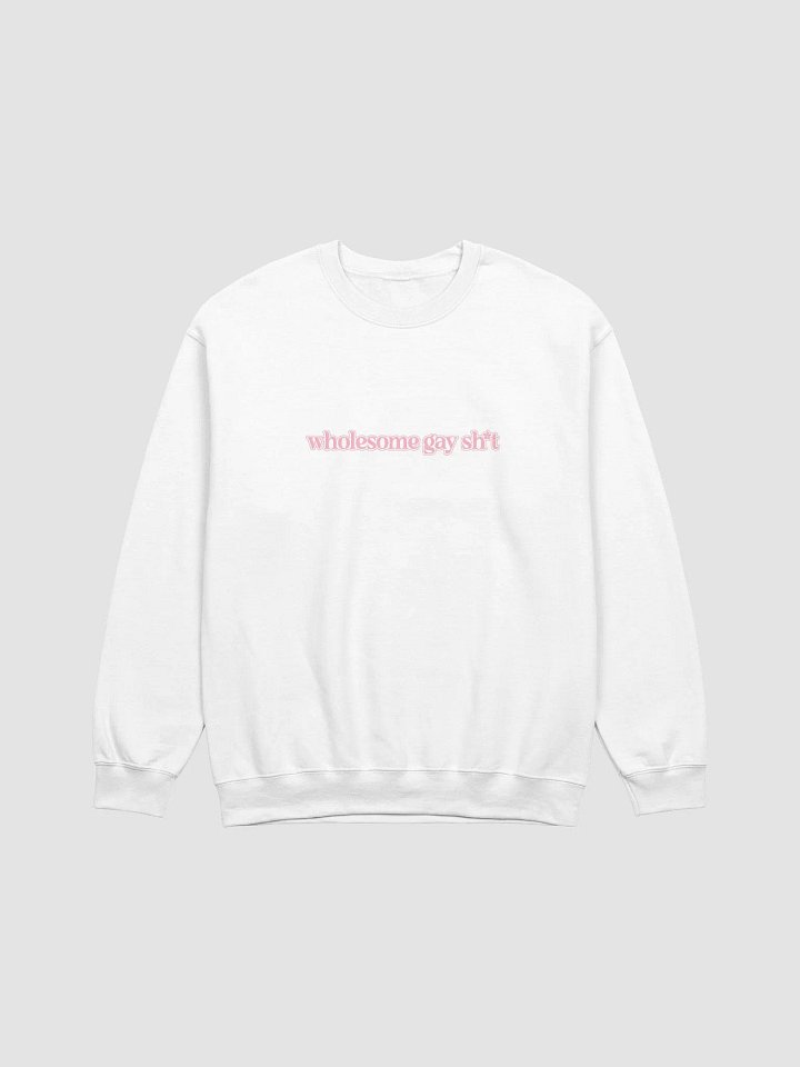Wholesome Gay Sweatshirt product image (1)
