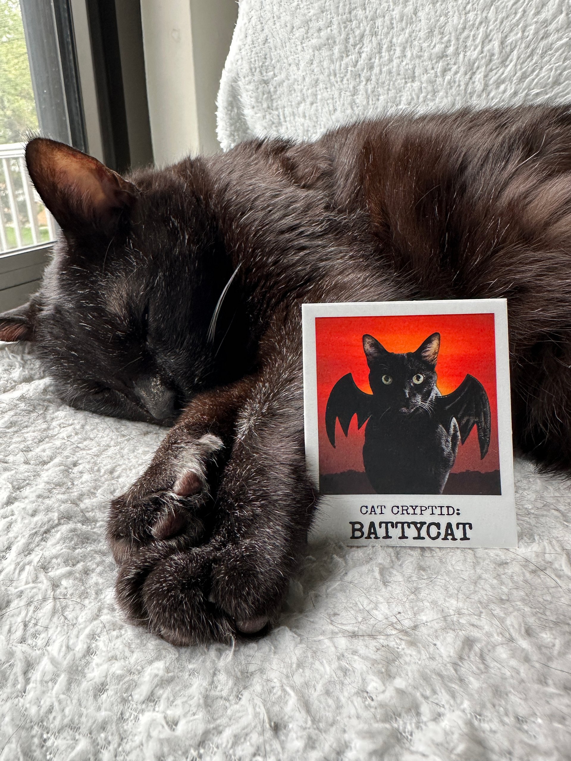 Battycat cat cryptid sticker product image (2)