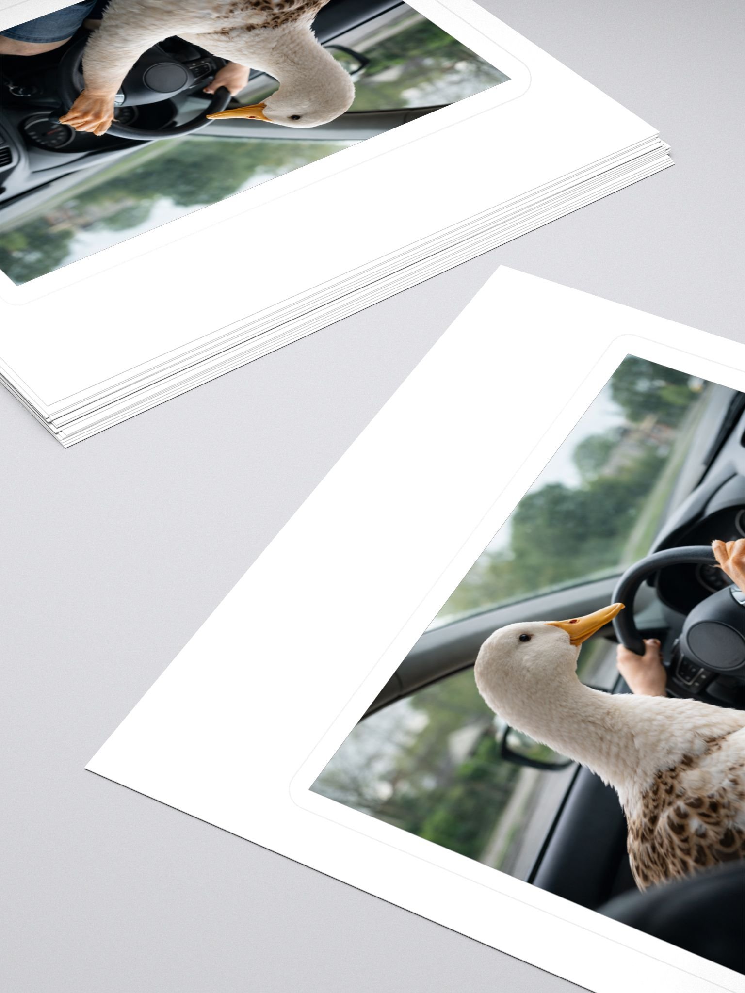 Driving Duck Sticker product image (4)