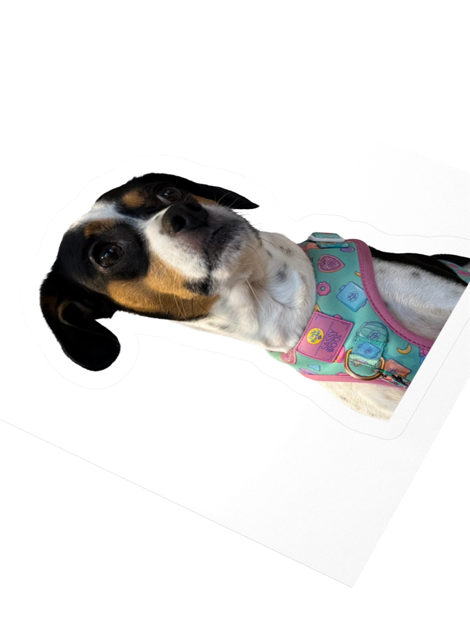 Odessa Sticker product image (3)