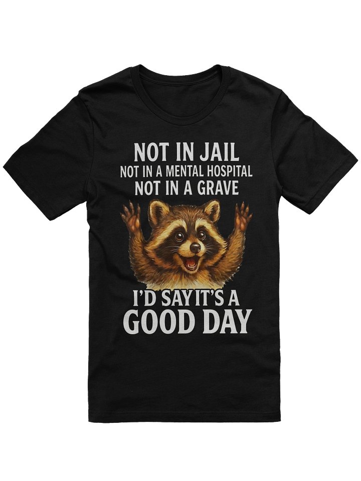 Funny Not in Jail Not in A Mental Hospital Not in A Grave T-Shirt product image (1)