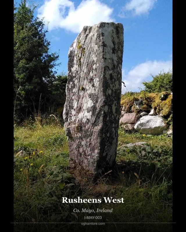 Ogham Stone: An Roisín Thiar | Rusheens West Uncovering the ancient world, one stone at a time. Meet the An Roisín Thiar | Rusheens West ogham stone - First published in 1916 by Macalister noting the discovery 'several years' previously by Sergeant Lyons of Athenry. Explore its full story at OghamLore.com #Ogham #Ireland #Eire #Gaeilge #History