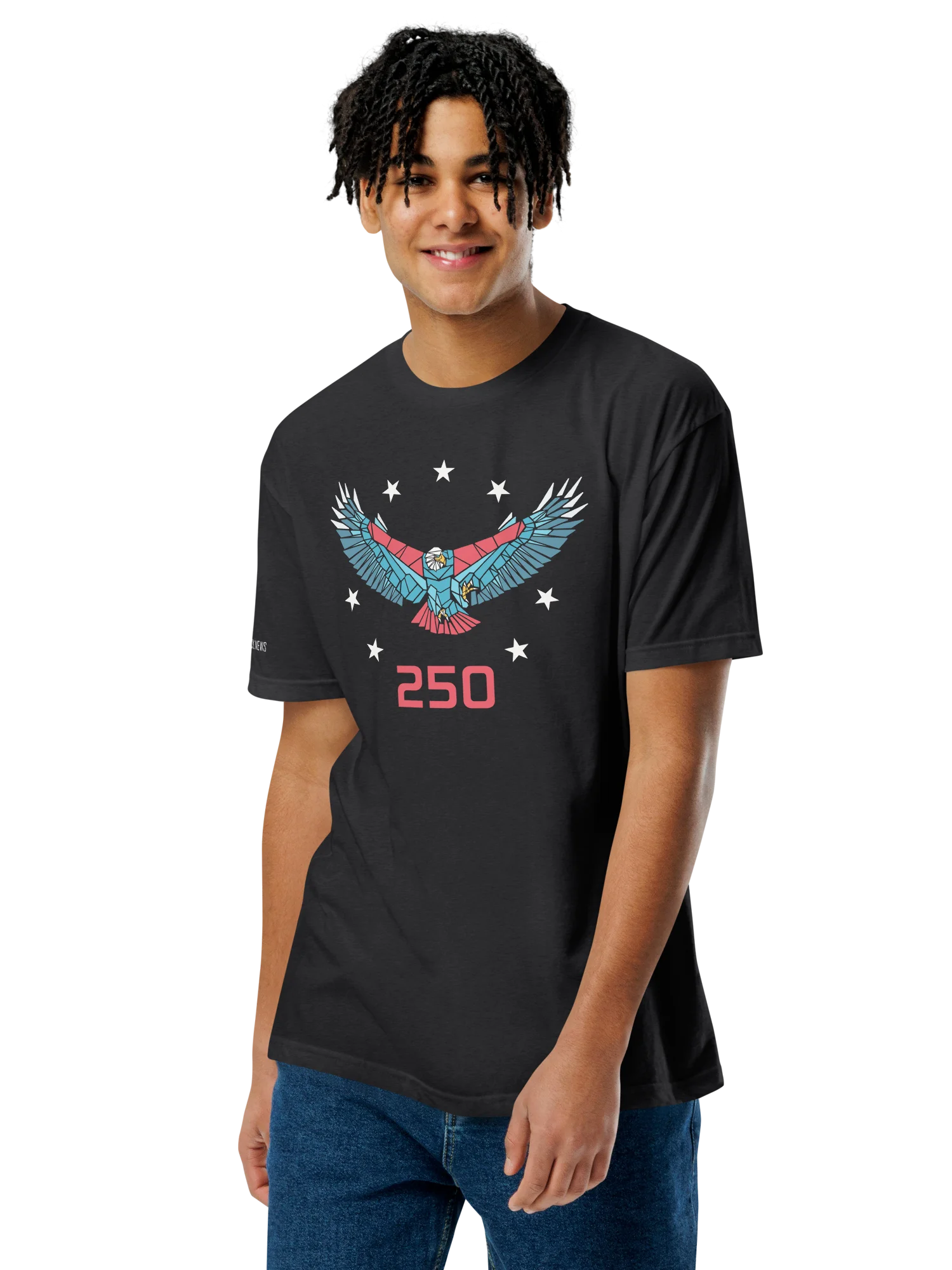 250 SPIRIT EAGLE product image (9)