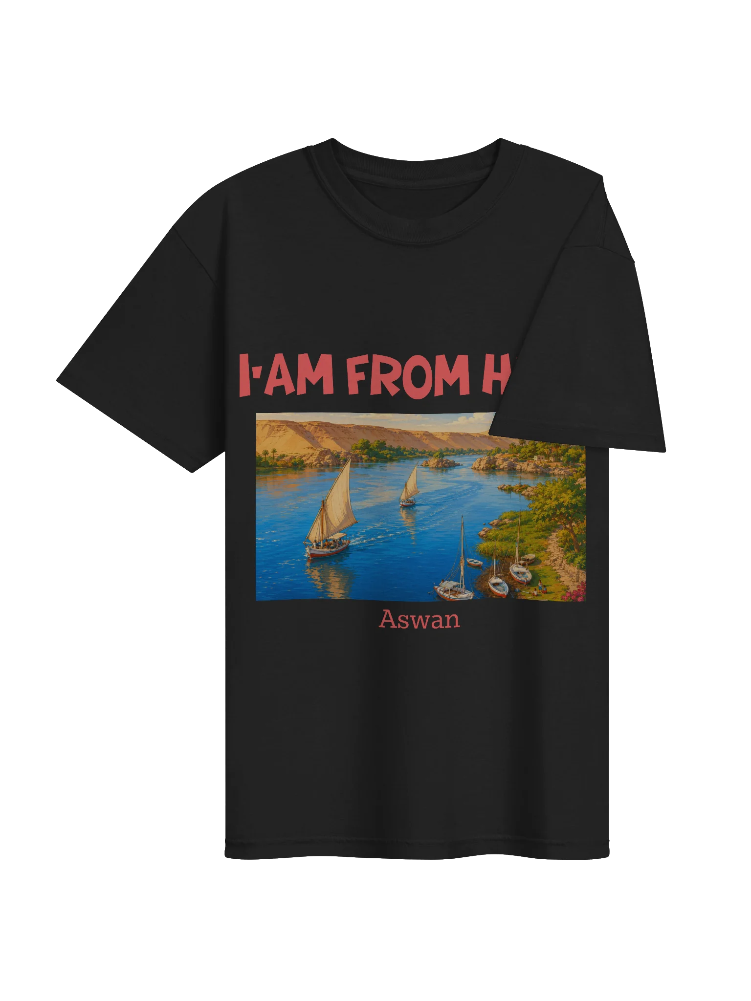 Aswan T-Shirt (Heavyweight Fabric) product image (4)