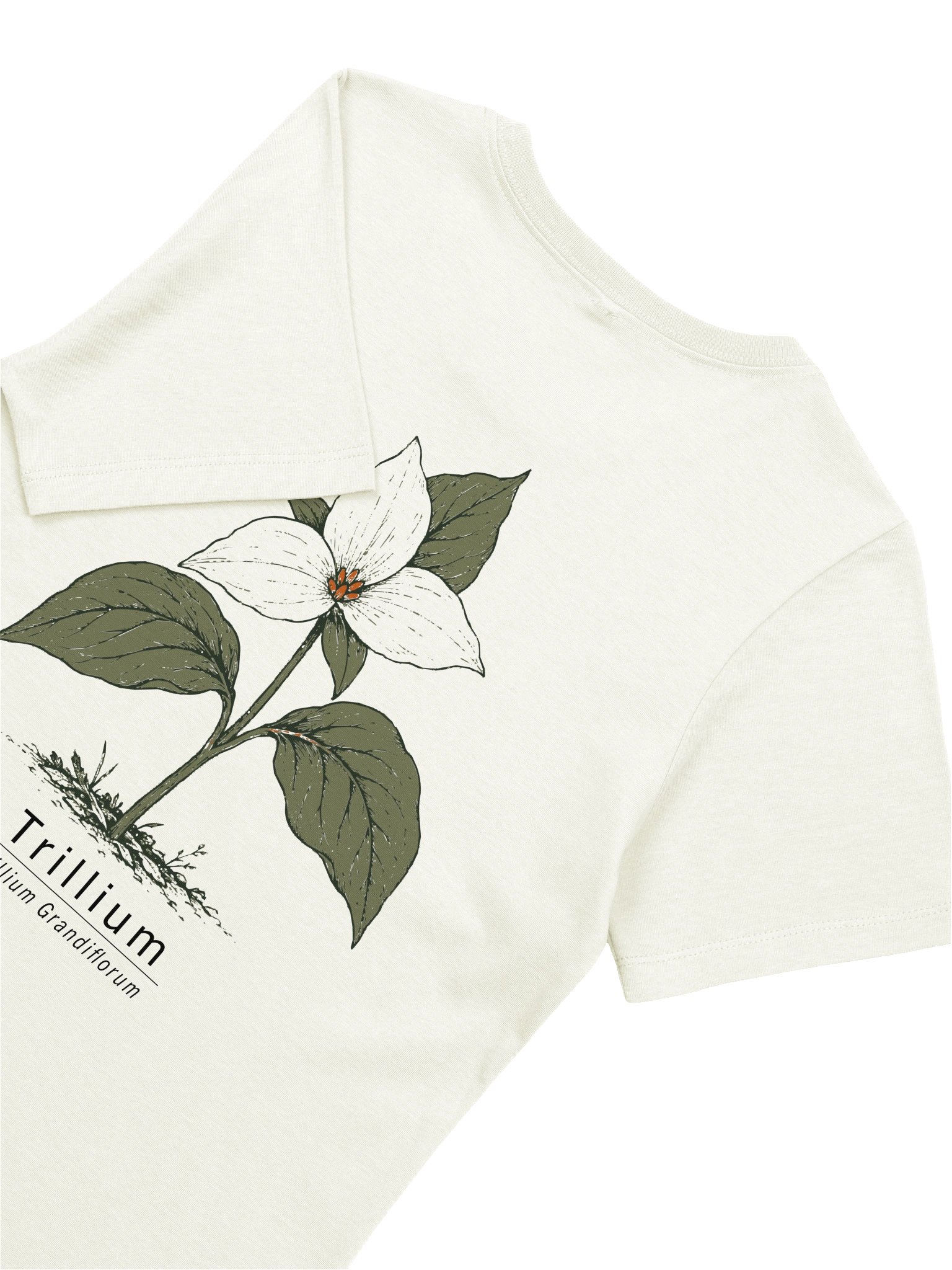 Trillium Women's Relaxed Tee product image (6)