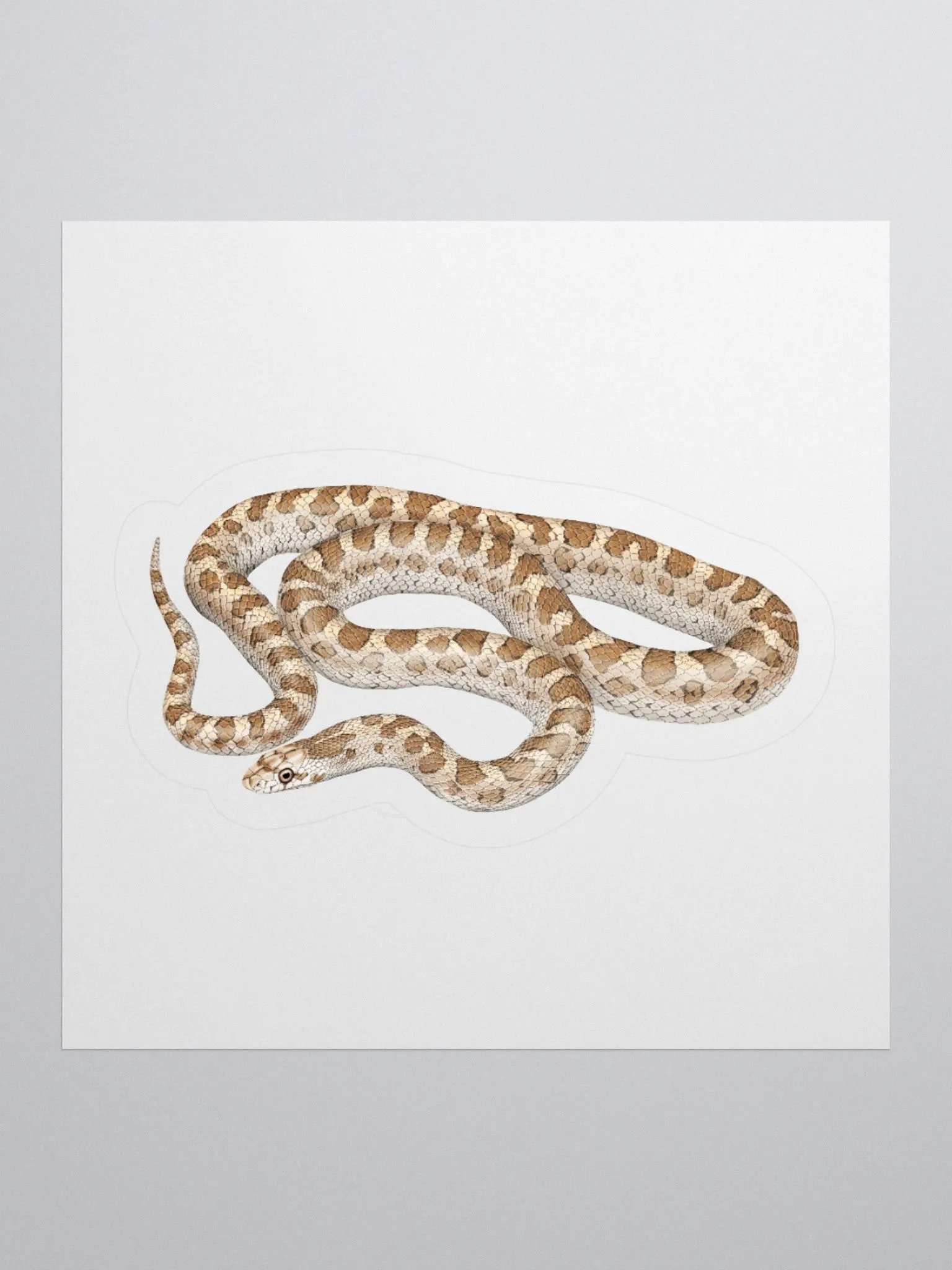 Die-Cut Sticker – Glossy Snake product image (1)