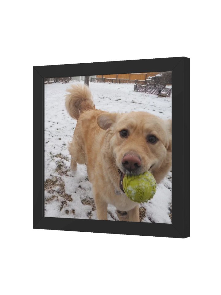 Fetch - Milo's Life Square Framed Poster product image (6)