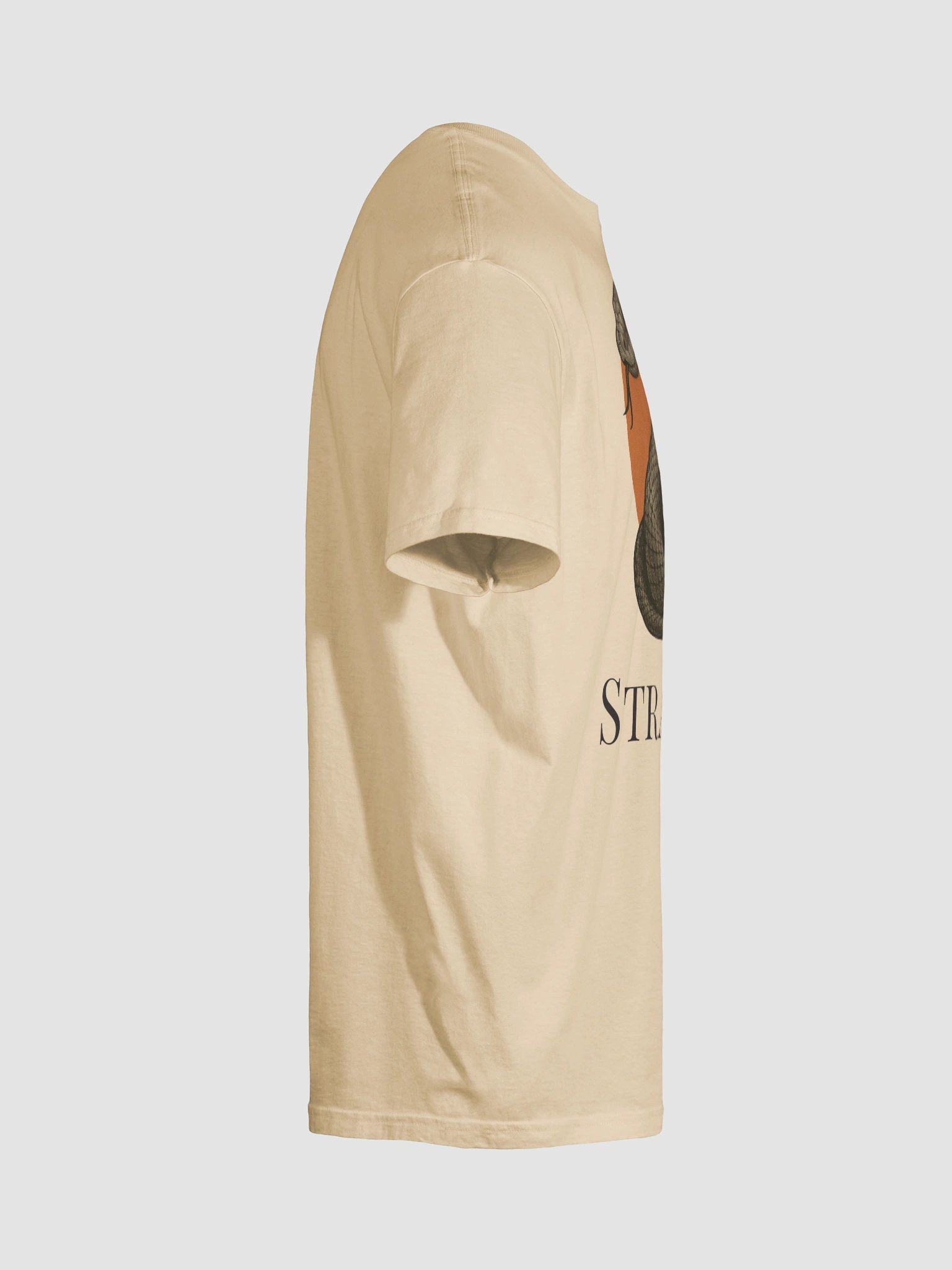 The Strategist product image (20)