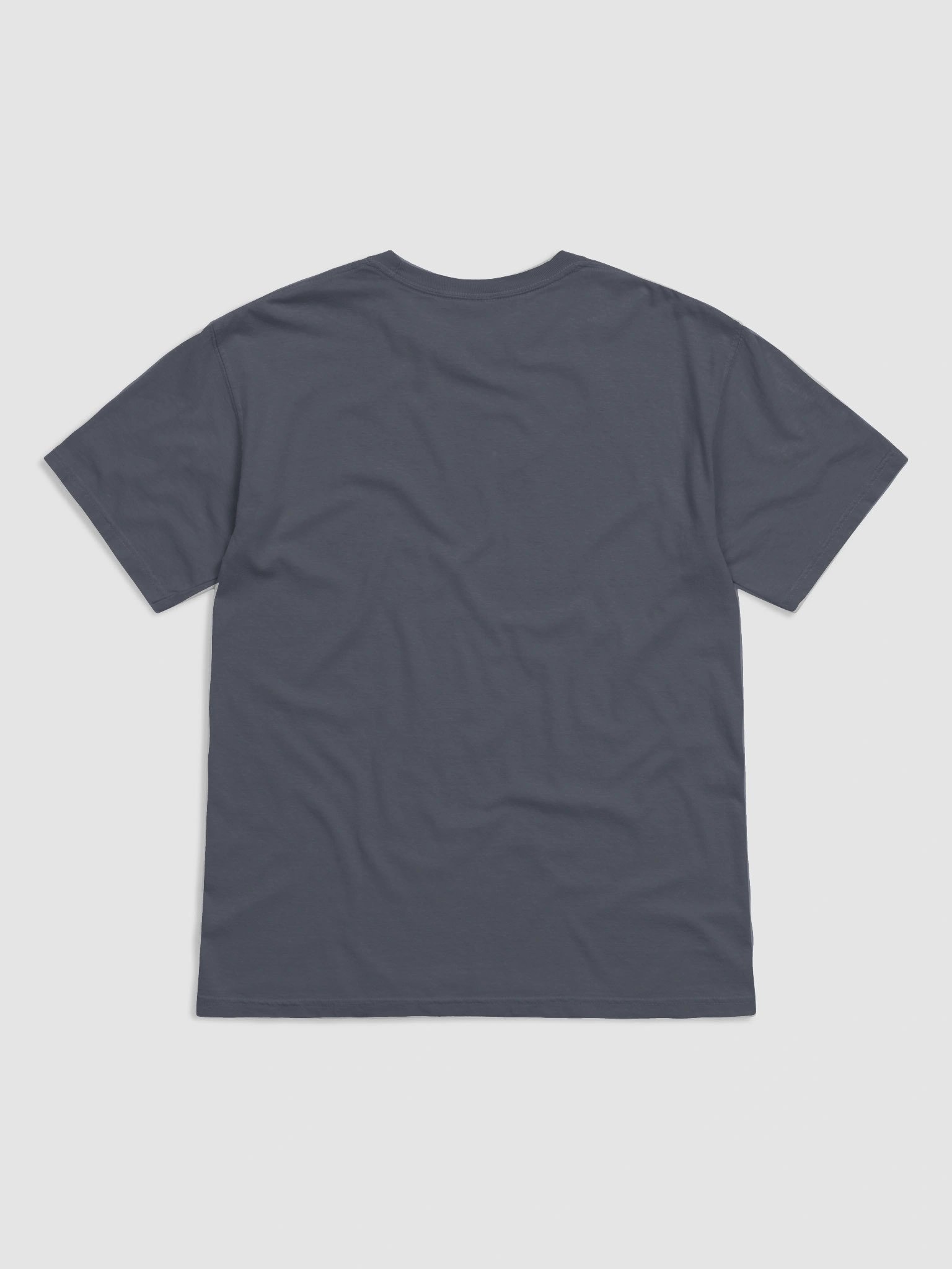 letter p product image (2)