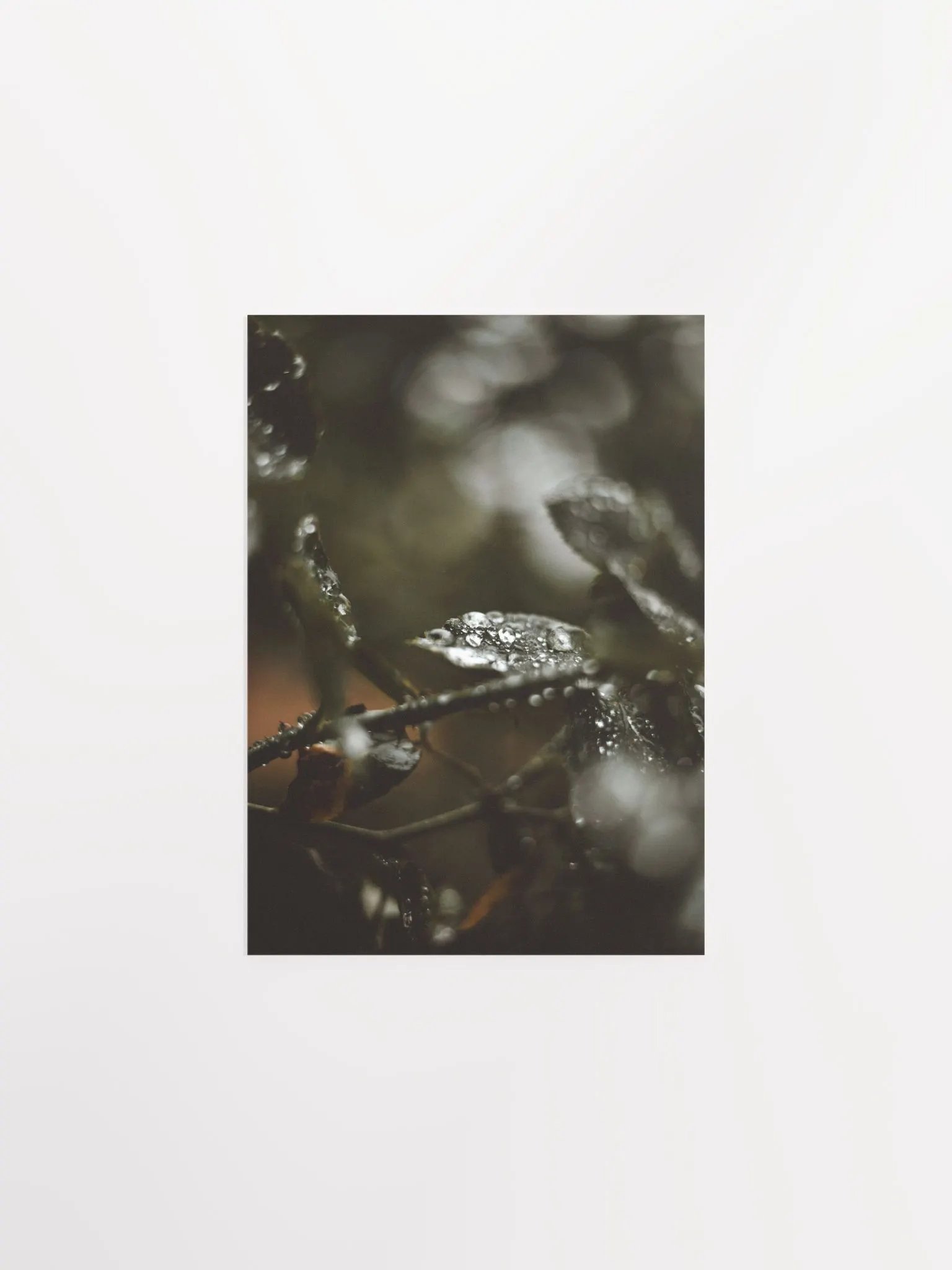 Rainy Day product image (3)