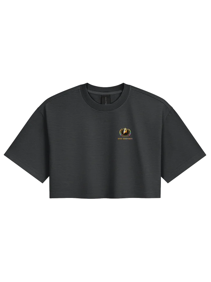 STFC Briefings With Pride Collection Crop Top product image (1)