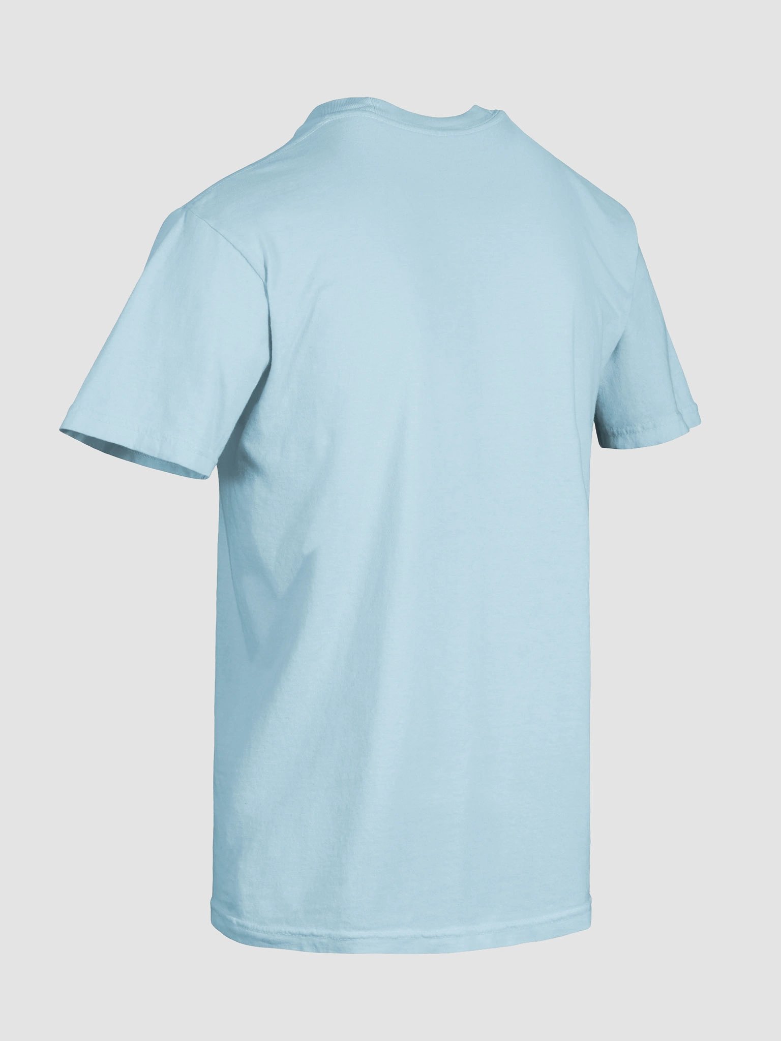Silly Goose Western Shirt - Western True Crime Gift Tee - Light product image (33)