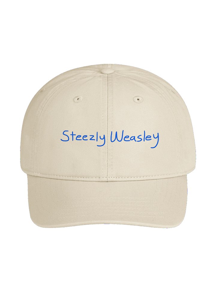 Steez Dad Hat product image (1)