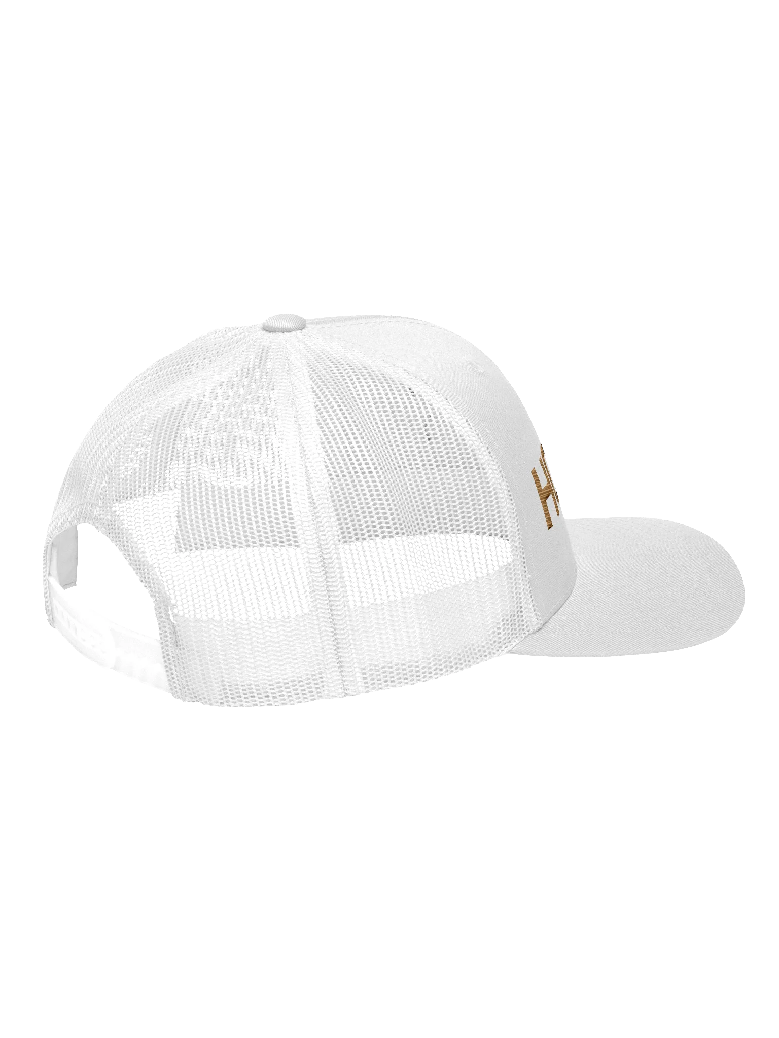 Holiness Hat product image (17)