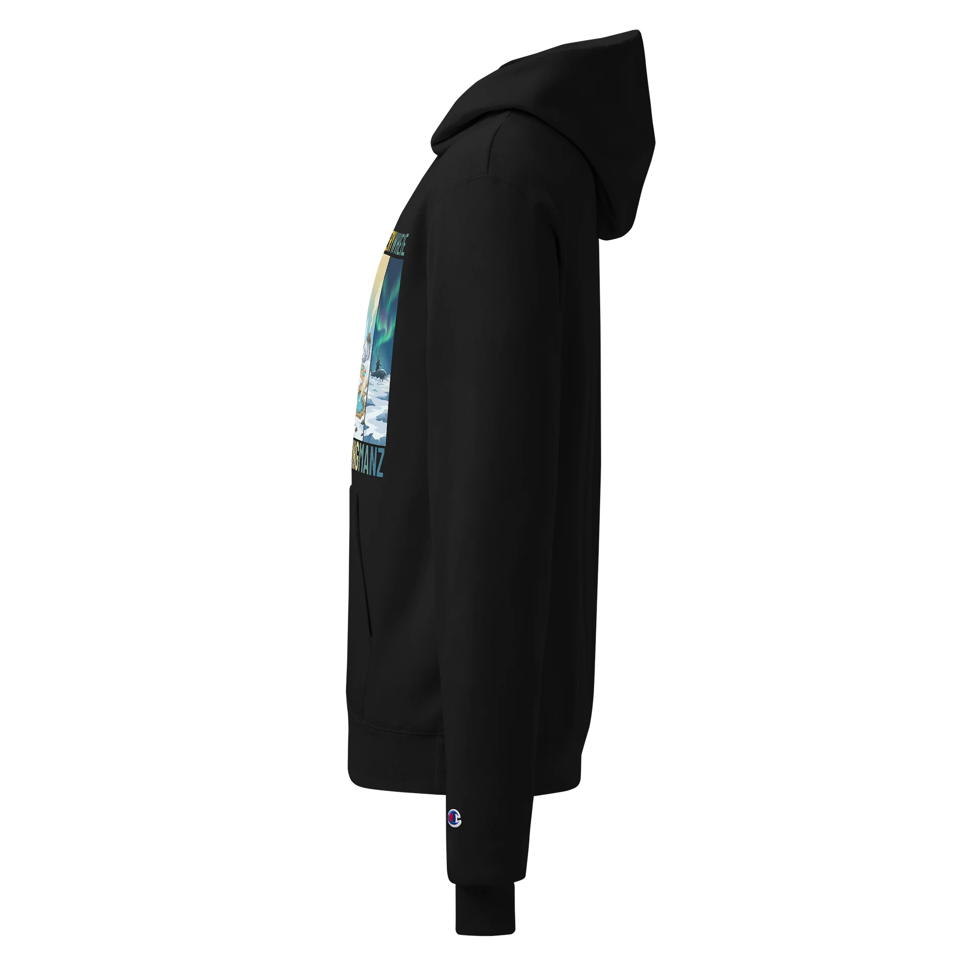 I’ve Been Everywhere – DayZ Hoodie product image (3)