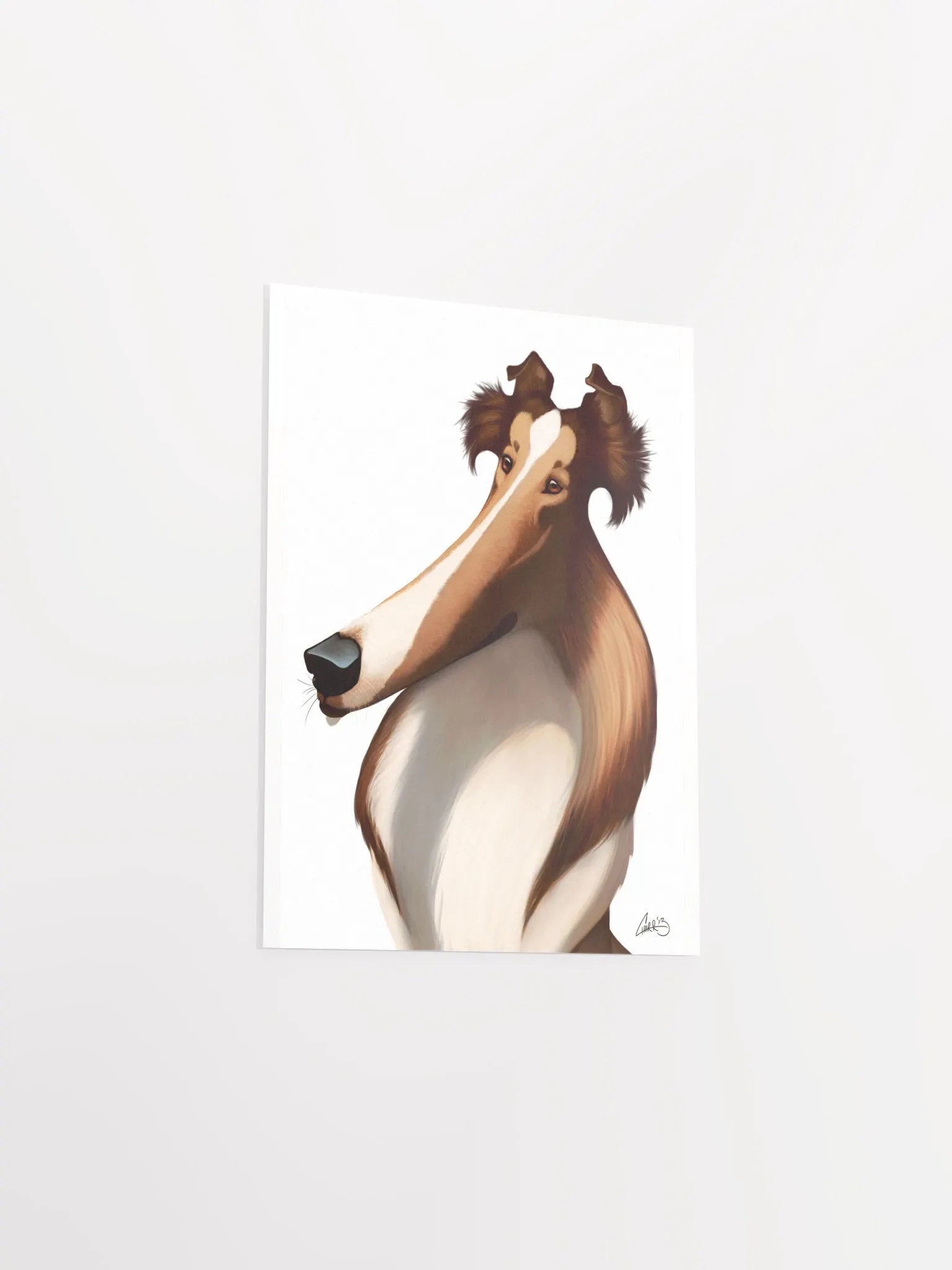 Dog Breeds: Rough Collie Print product image (6)
