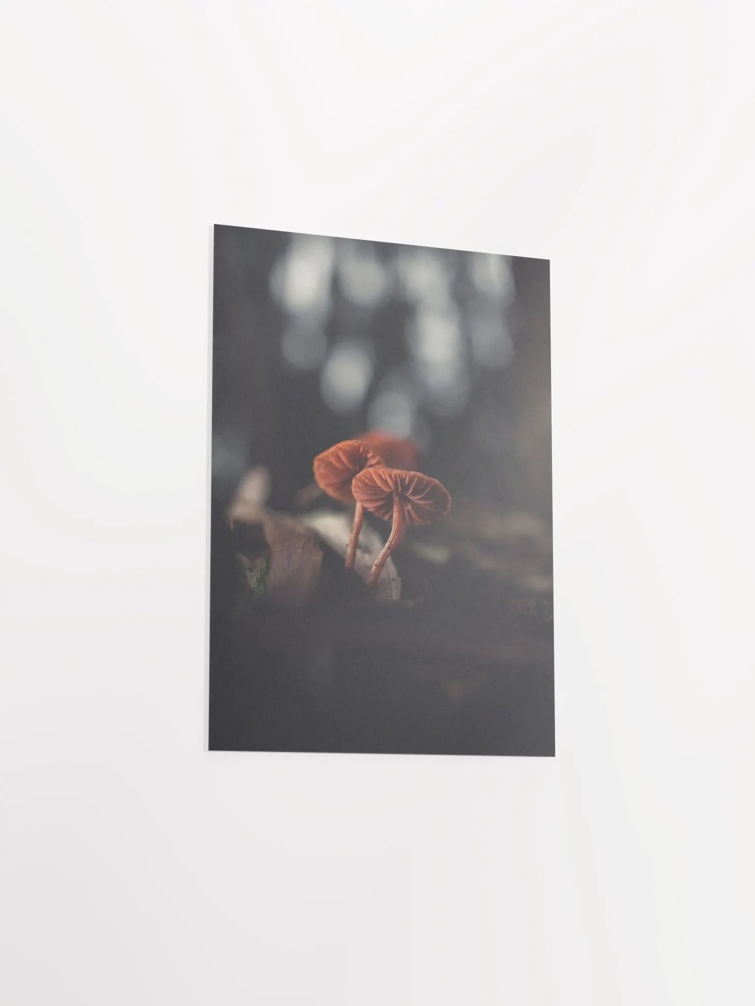 Lost product image (11)