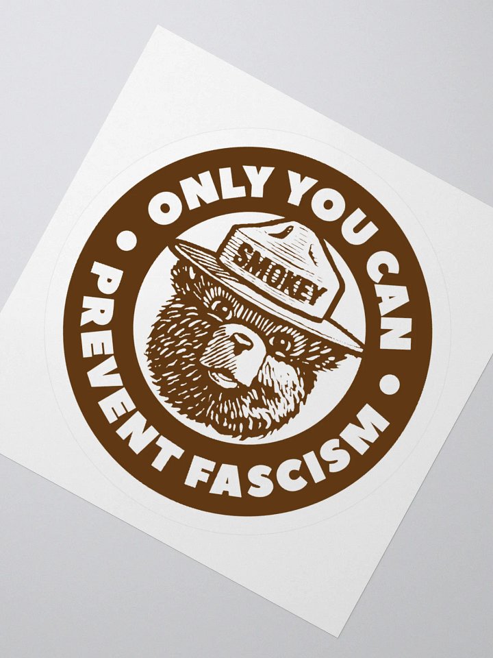 Only You Can Prevent Fascism Sticker product image (4)