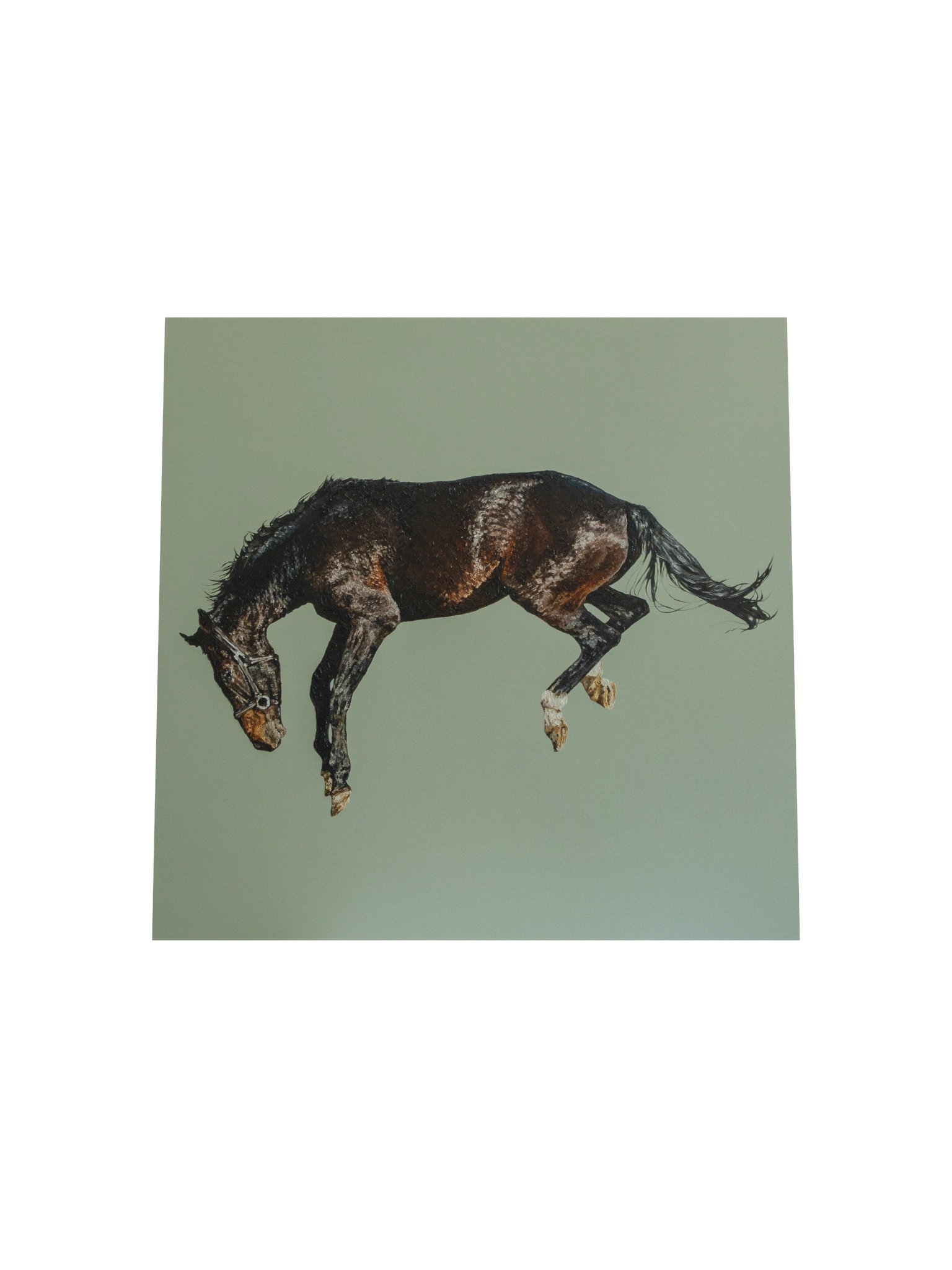 Soaring Freedom Print product image (16)