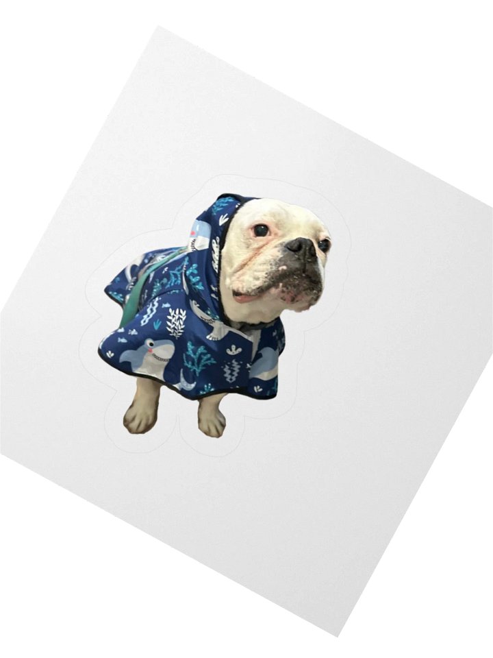 Raincoat Theo Kiss-Cut Stickers product image (2)