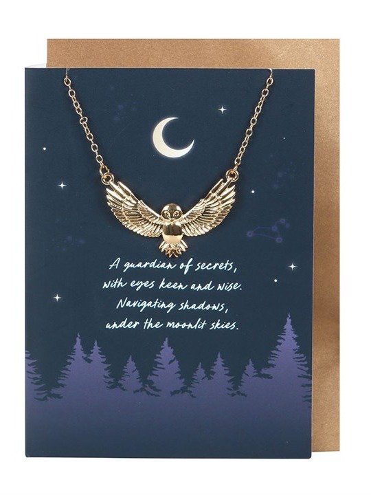 Night Owl Celestial Necklace & Greeting Card — Limited Stock product image (1)