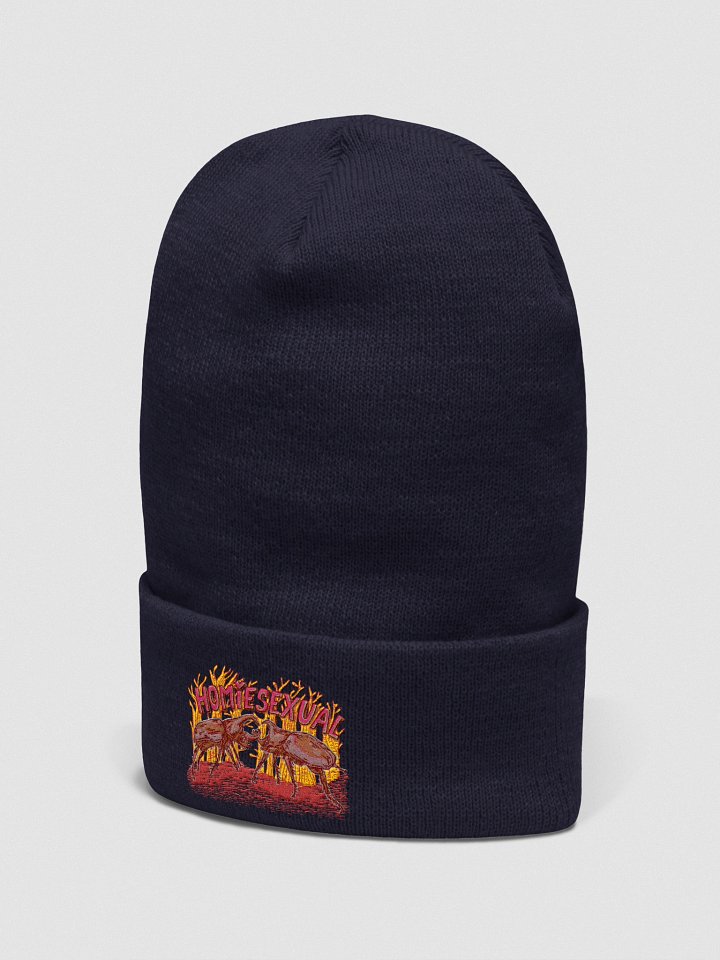 homiesexual beanies! product image (13)
