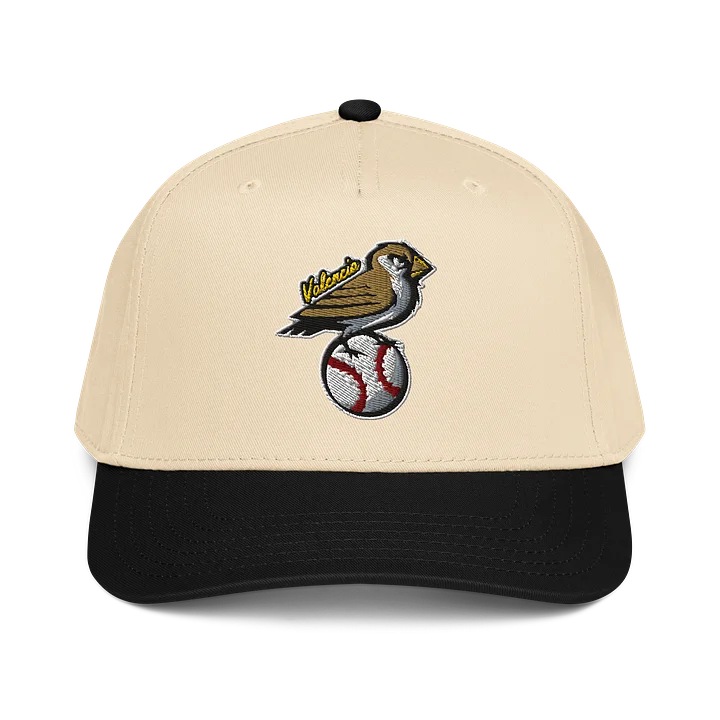 Golondrinas Valencia Baseball Cap (Snapback) product image (1)