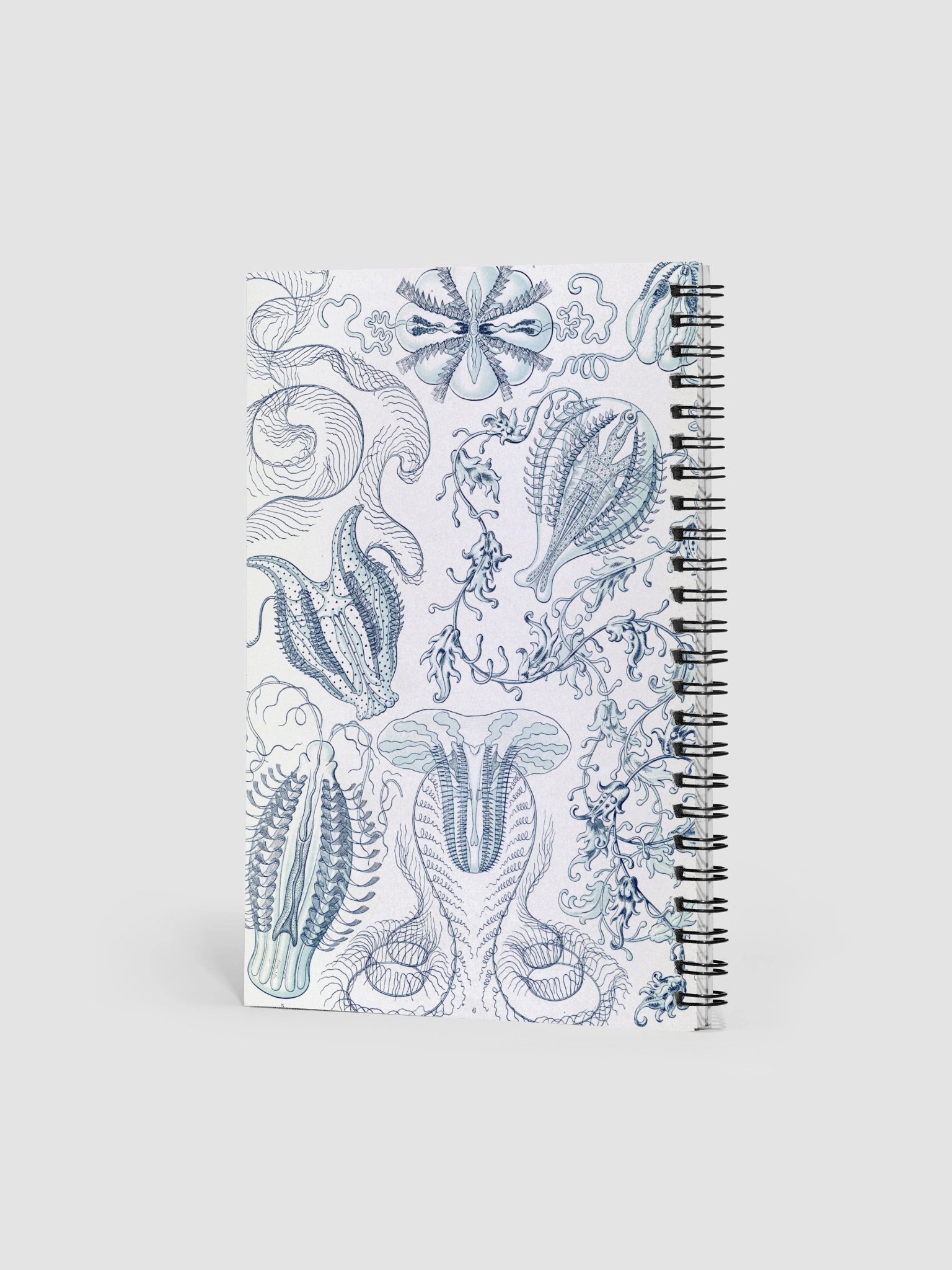 Comb Jellies Vintage Marine Biology Notebook product image (2)