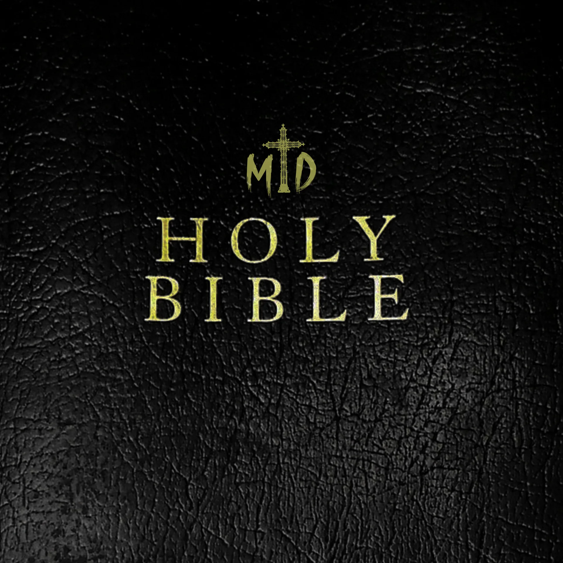 Discipleship Vol .1 product image (1)